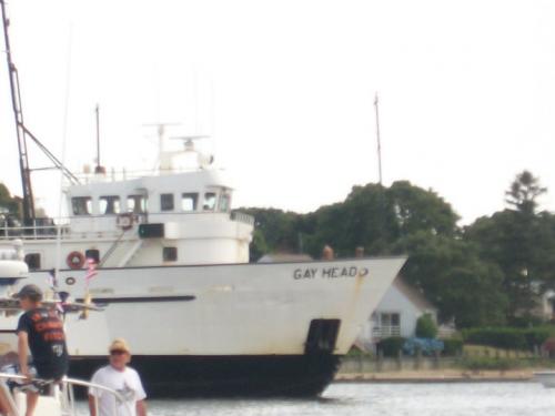 hornoxe.com_picdump165_80