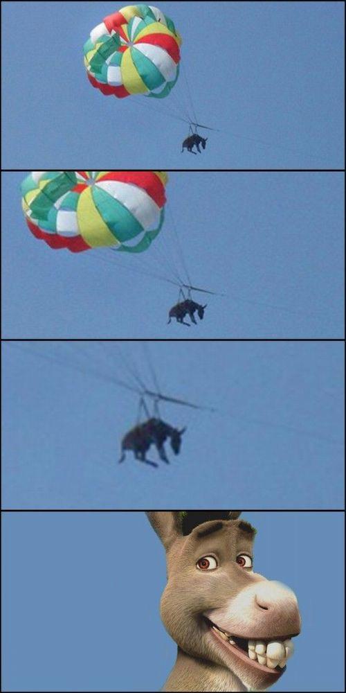 hornoxe.com_picdump165_88