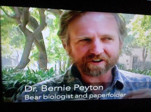 hornoxe.com_picdump166_18