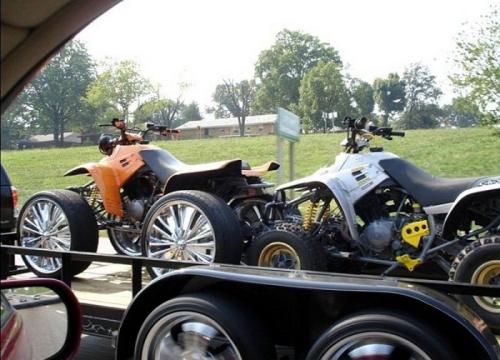 hornoxe.com_picdump166_53