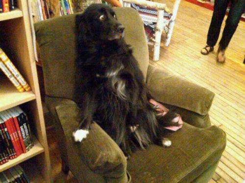 hornoxe.com_picdump167_079