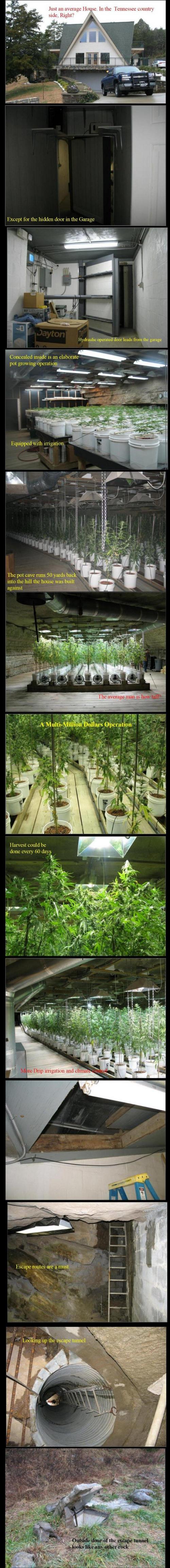 hornoxe.com_picdump167_098