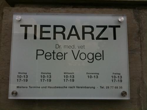 hornoxe.com_picdump168_05