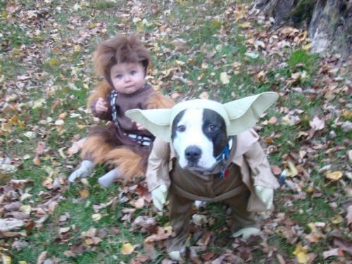 hornoxe.com_picdump168_59