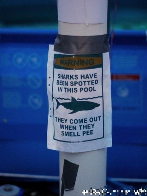 hornoxe.com_picdump168_74