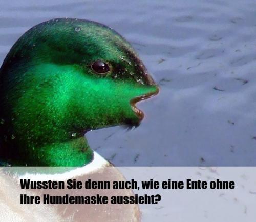 hornoxe.com_picdump169_49