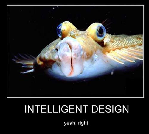 hornoxe.com_picdump170_006