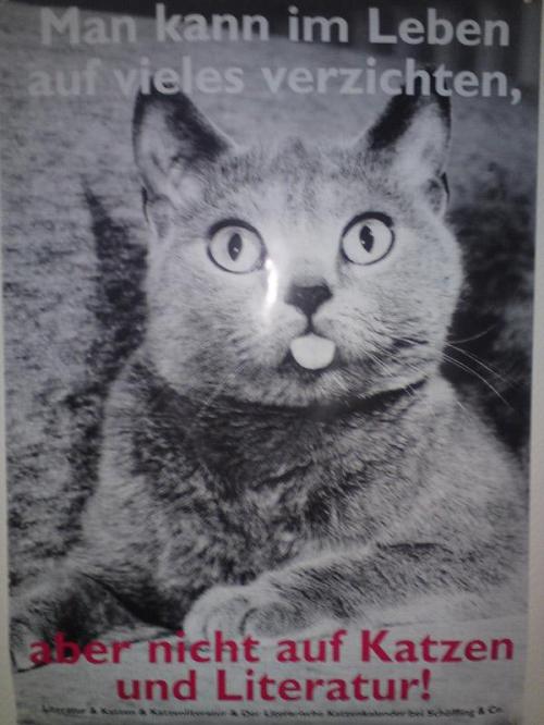 hornoxe.com_picdump170_063