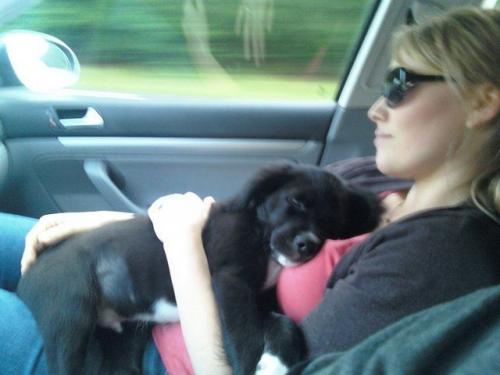 hornoxe.com_picdump170_092