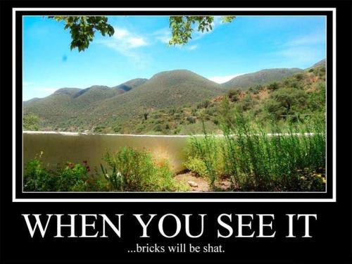 hornoxe.com_picdump170_096