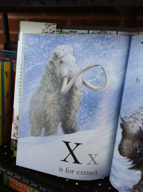 hornoxe.com_picdump170_115