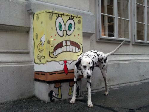 hornoxe.com_picdump171_011