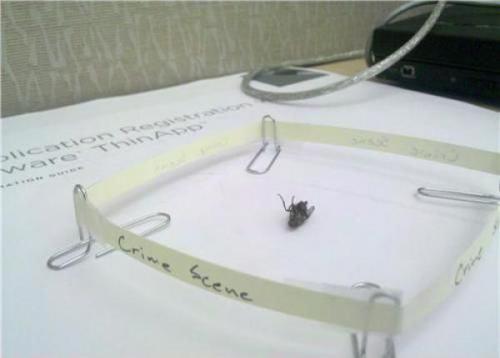 hornoxe.com_picdump171_036