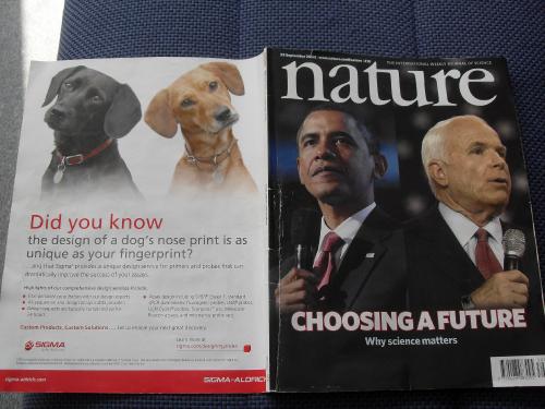 hornoxe.com_picdump171_038