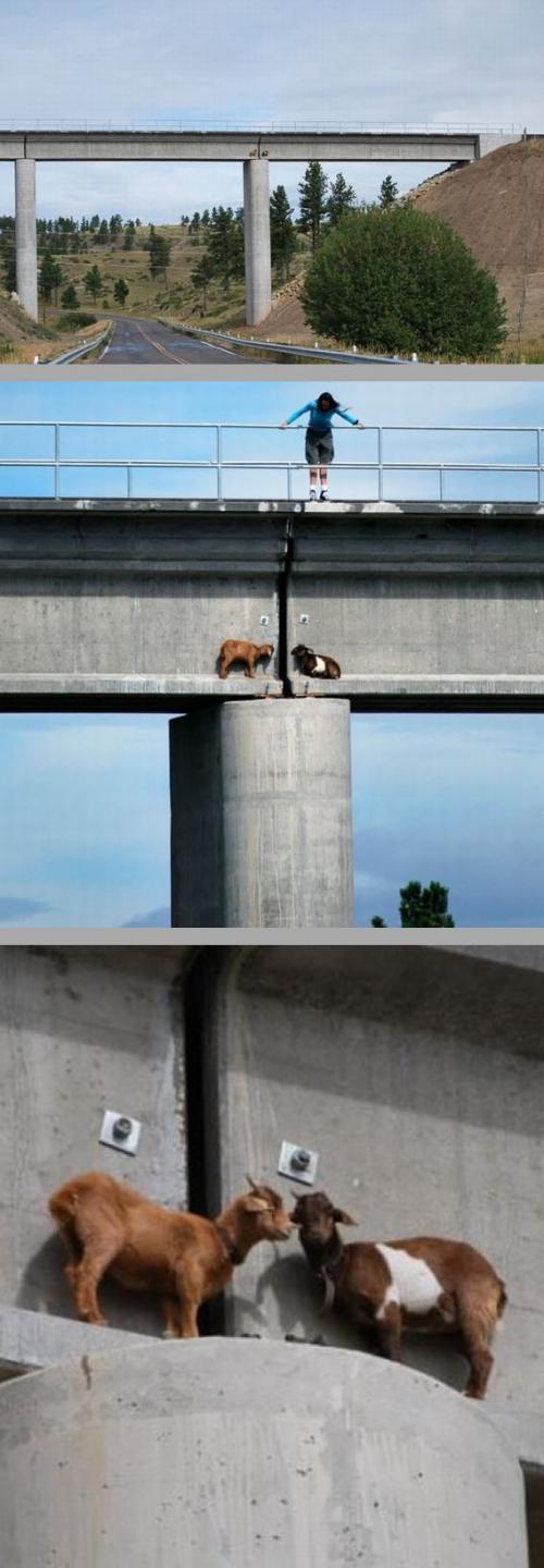 hornoxe.com_picdump171_057