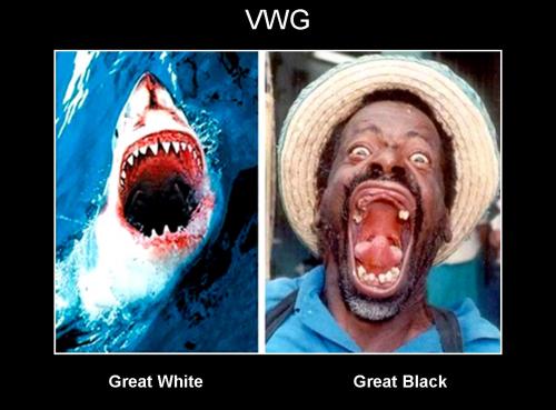 hornoxe.com_picdump171_059