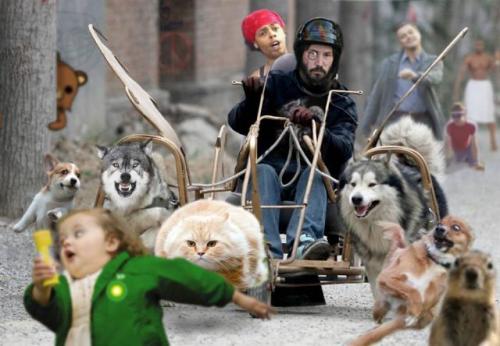 hornoxe.com_picdump171_084