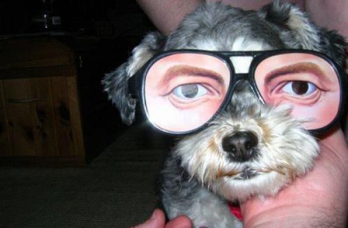 hornoxe.com_picdump171_088