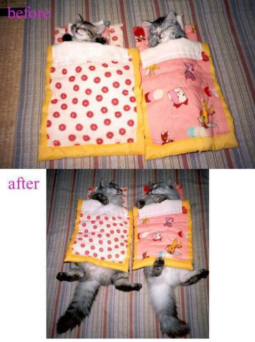 hornoxe.com_picdump171_113