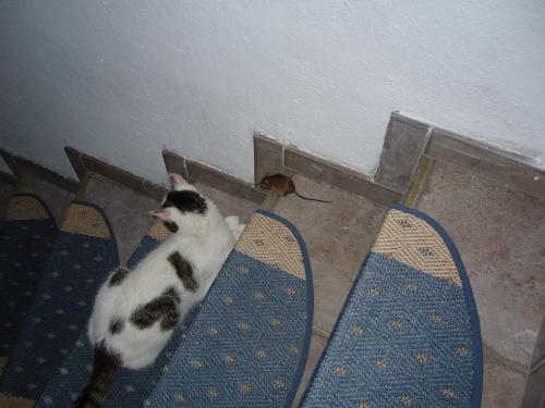 hornoxe.com_picdump171_119