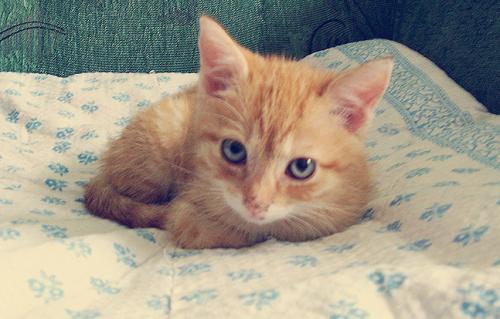 hornoxe.com_picdump172_017