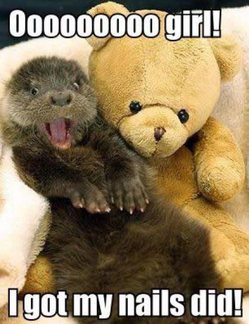 hornoxe.com_picdump172_083