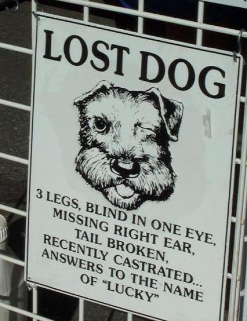 hornoxe.com_picdump173_045