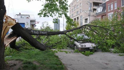 hornoxe.com_picdump173_050