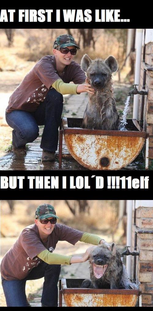 hornoxe.com_picdump173_067