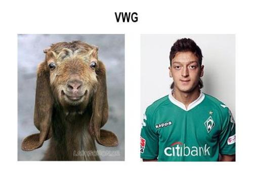 hornoxe.com_picdump173_085