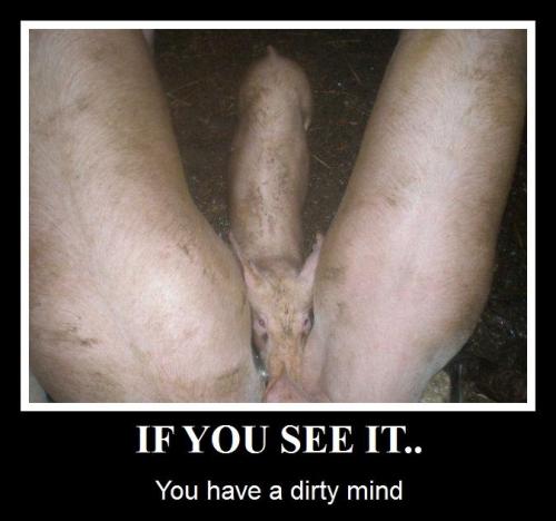 hornoxe.com_picdump173_088