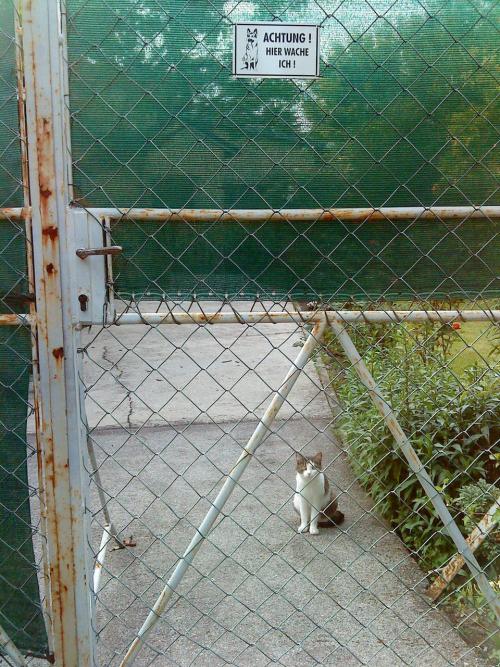 hornoxe.com_picdump173_091