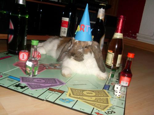 hornoxe.com_picdump173_124