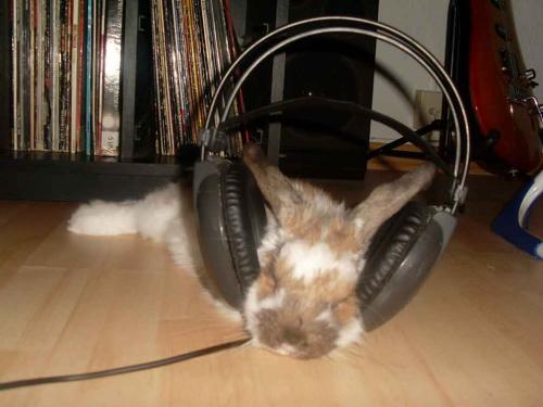 hornoxe.com_picdump173_126