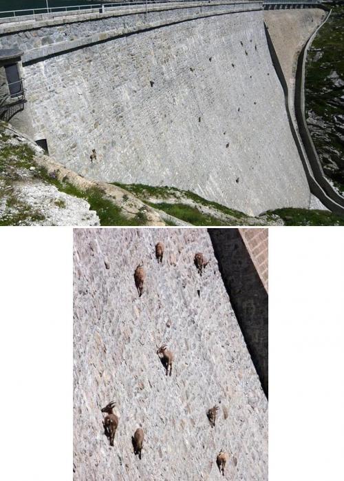 hornoxe.com_picdump174_19