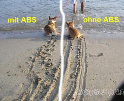 hornoxe.com_picdump174_21