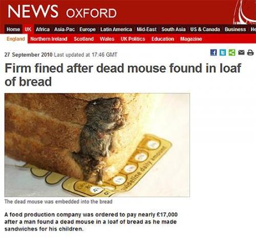 hornoxe.com_picdump174_31