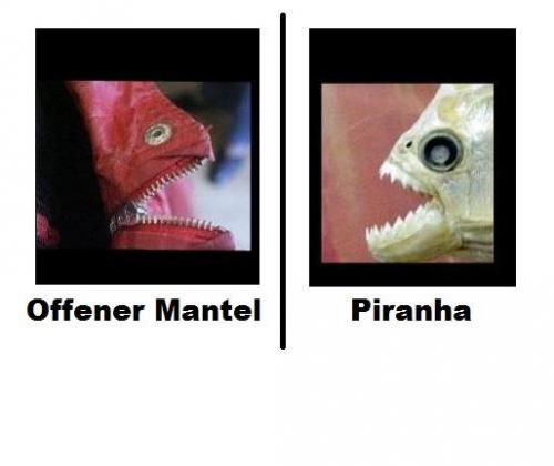 hornoxe.com_picdump174_45