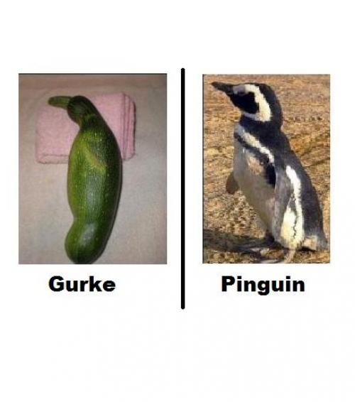 hornoxe.com_picdump174_48