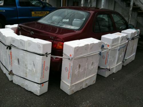 hornoxe.com_picdump174_55