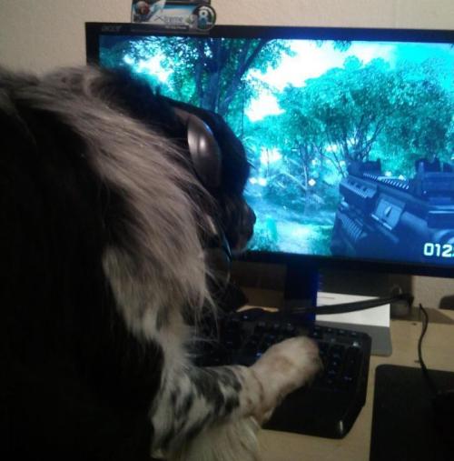 hornoxe.com_picdump174_59