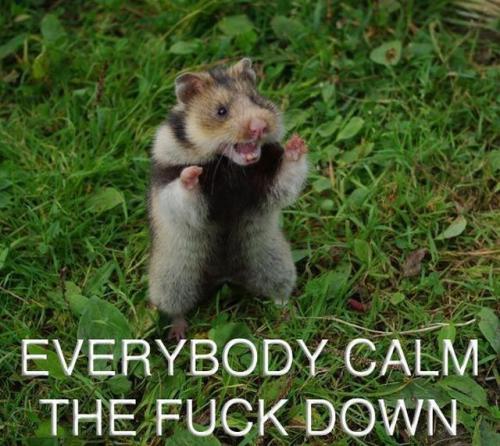 hornoxe.com_picdump174_74