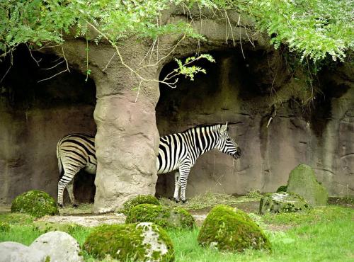 hornoxe.com_picdump175_30