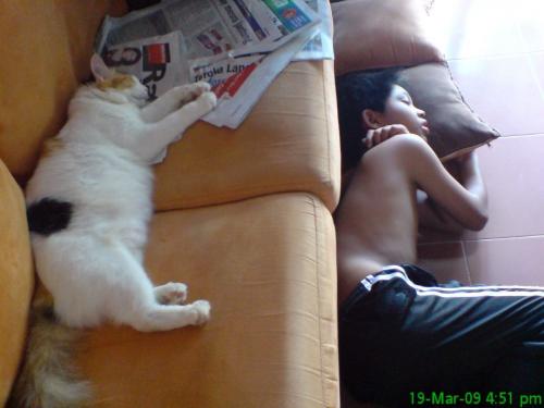 hornoxe.com_picdump175_65