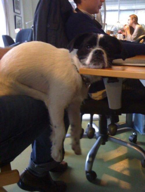 hornoxe.com_picdump176_77