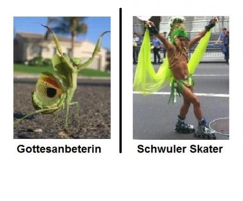 hornoxe.com_picdump178_25