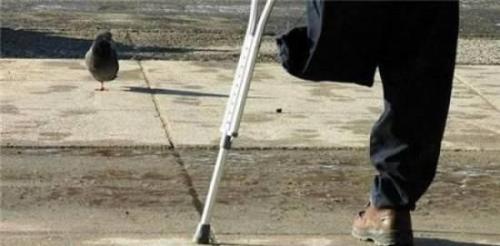 hornoxe.com_picdump178_33