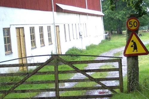 hornoxe.com_picdump178_35