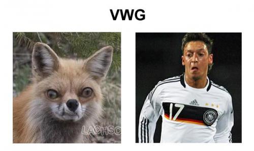 hornoxe.com_picdump178_38