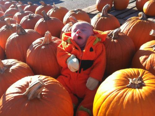 hornoxe.com_picdump178_67